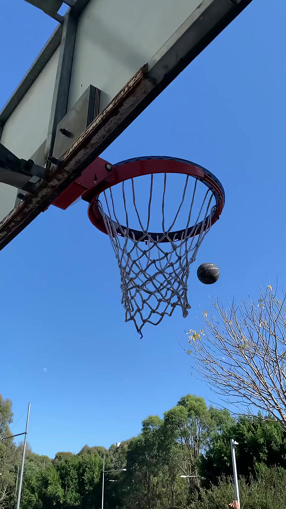 Thumbnail: Basketball Net Blacknet Withnet Portable Basketball Net, Detachable Professional