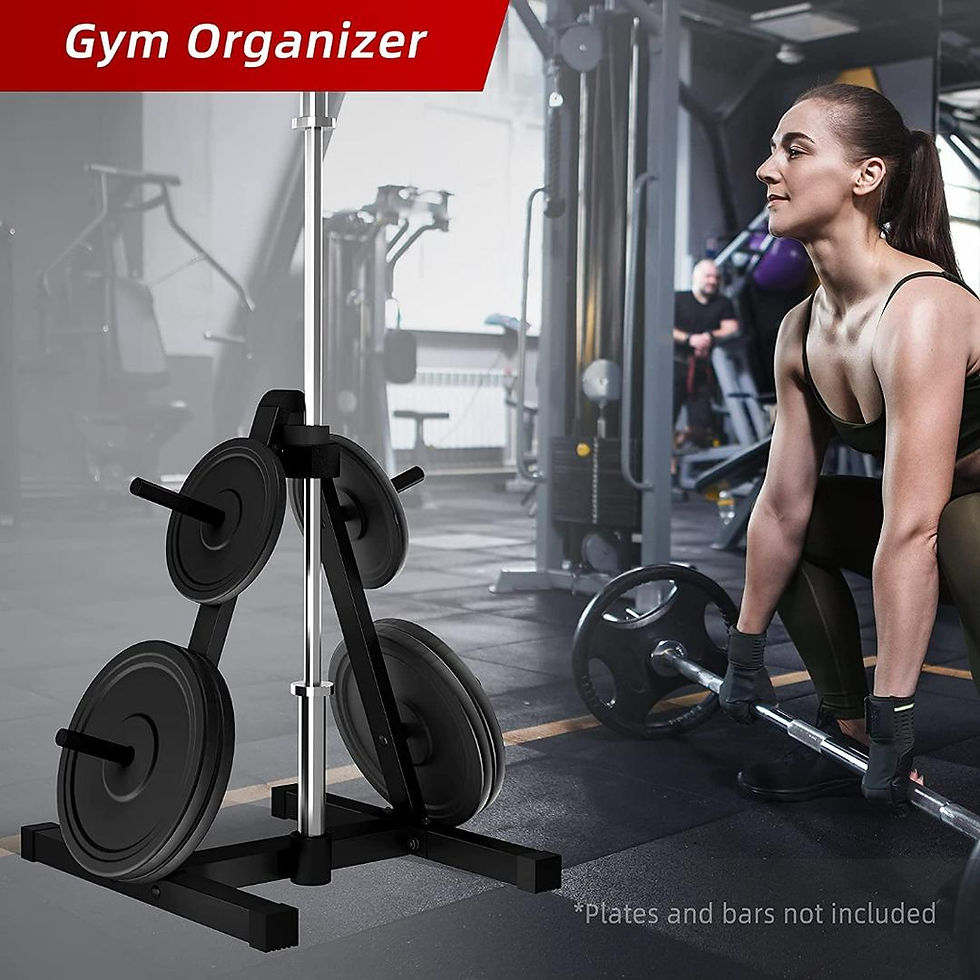 Thumbnail: 'A' Frame Weight Plate & Barbell Storage Rack Weight Tree Standard Olympic Size