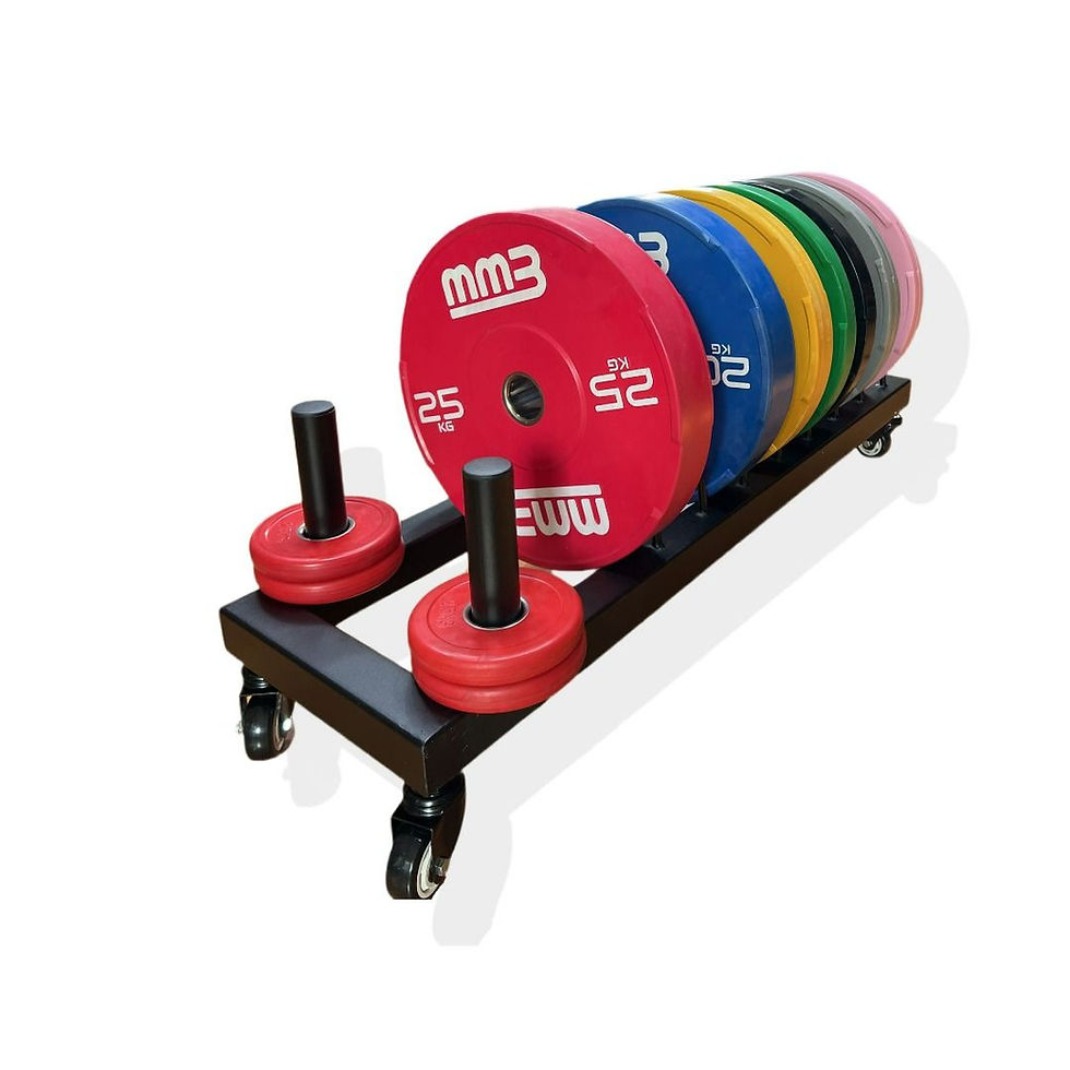 Thumbnail: MMB Kamilo Bumper Plate Storage Rack