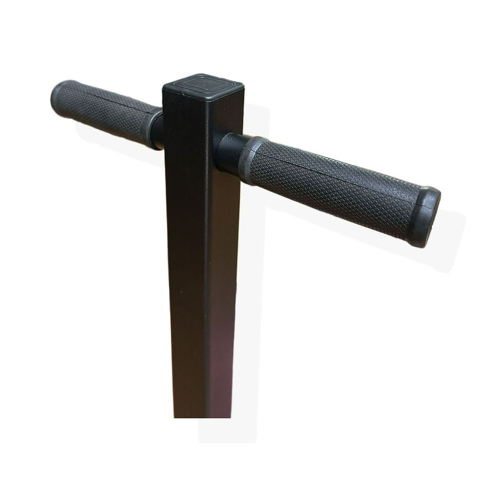 Thumbnail: MMB Kamilo Bumper Plate Storage Rack