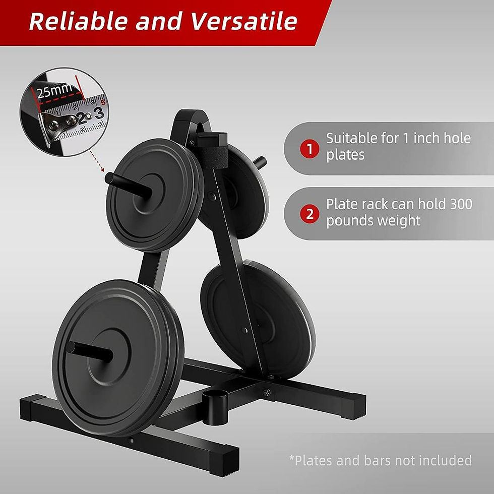 Thumbnail: 'A' Frame Weight Plate & Barbell Storage Rack Weight Tree Standard Olympic Size