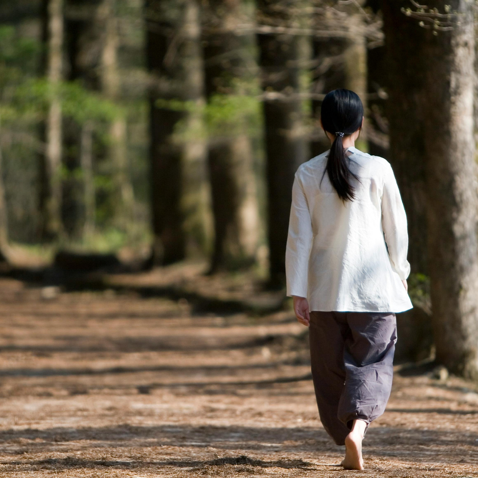 Internalising the Reiki Symbols: a journey within.