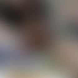 Weihnachtsmarkt 2025