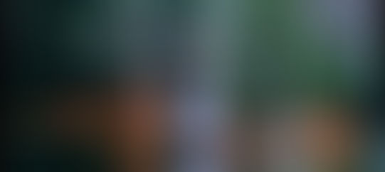 SCDNR Obtains Land For Recreation Area North Of Marietta