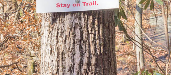 Man Rescued From Upper Wildcat Falls