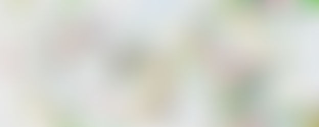 Crime Ring Operating In Northern Greenville County