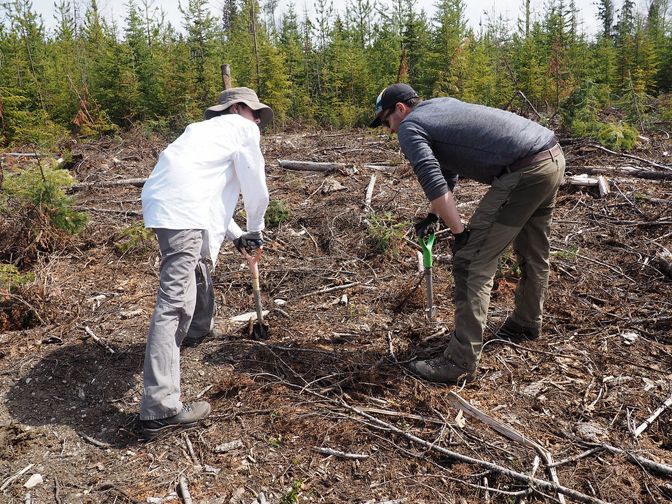 Let's talk about stashing