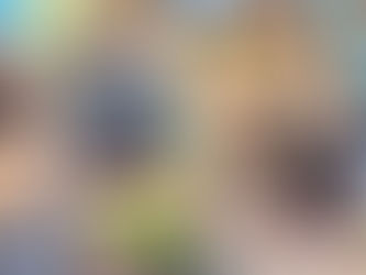 NCA Nieuwsbrief Augustus 2025