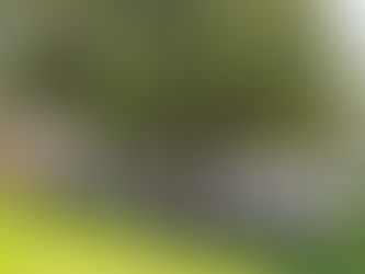 Haringparty & Zomerfeest 2025