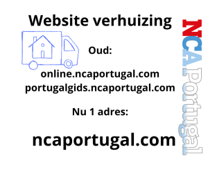 website verhuizing
