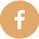 🦆 icon _Facebook v1_