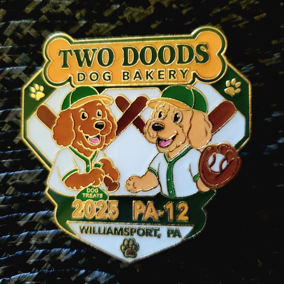 Little League Pins(Limited Time)