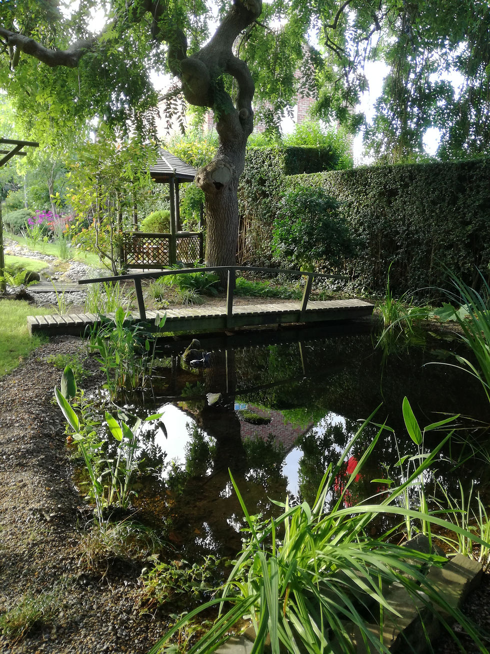 riverbed garden