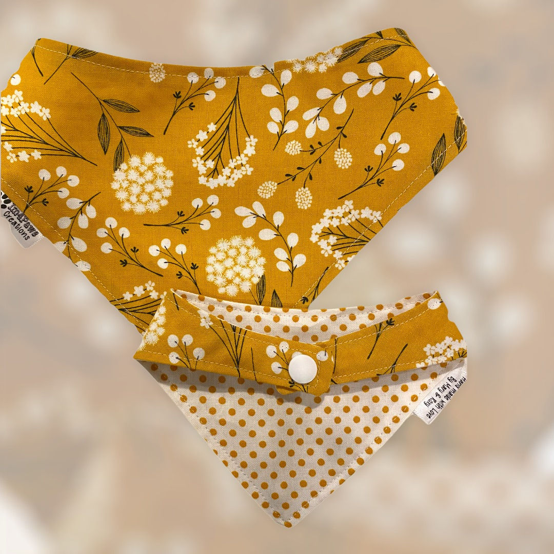 Summer white flowers