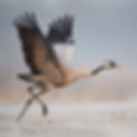 AdobeStock_258401481-min-1200x762.jpeg