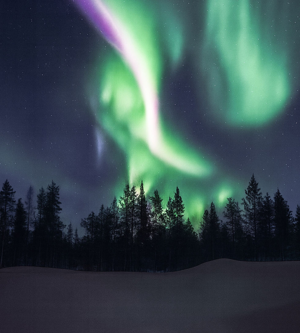 Green and violet northern lights sweeping across a star-filled night sky above a snowy forest of pine trees.