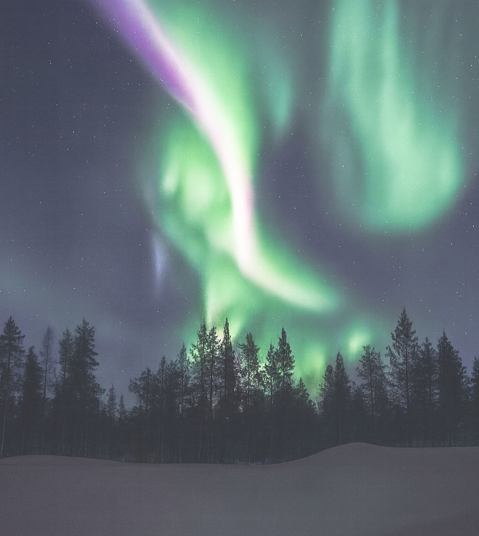 Northern lights in green and purple illuminate a starry night sky above a silhouetted forest. Tranquil and awe-inspiring scene.