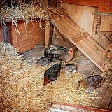 Capture d’écran_13-10-2025_17191_www.instagram.com.jpeg