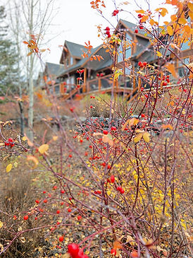 Canmore_edited.jpg