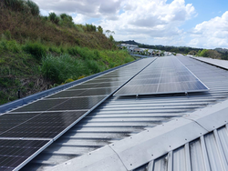 OXFORD PASEO DEL NORTE