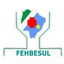Foto do escritor: FEHBESUL