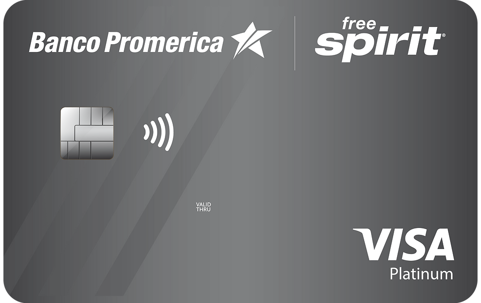 Spirit Platinum Promerica