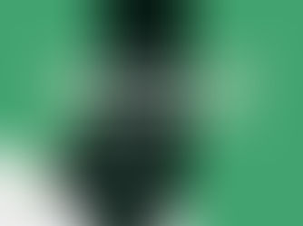 Autogate, el paso rápido gratuito del aeropuerto 