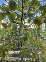 IMG_9791.jpeg