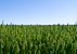 Copy of Copy of Made with CBD Isolate (5).png
