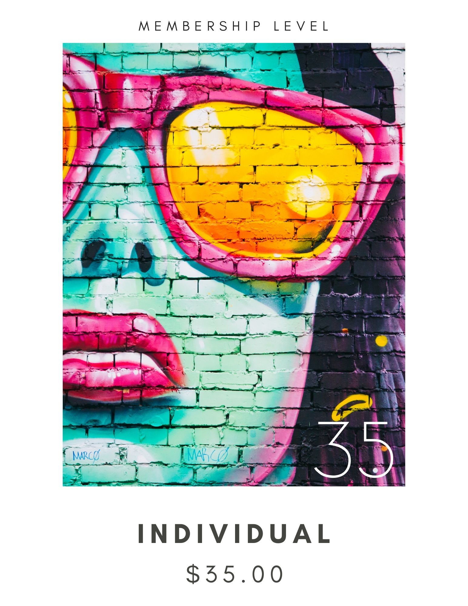 Individual Membership