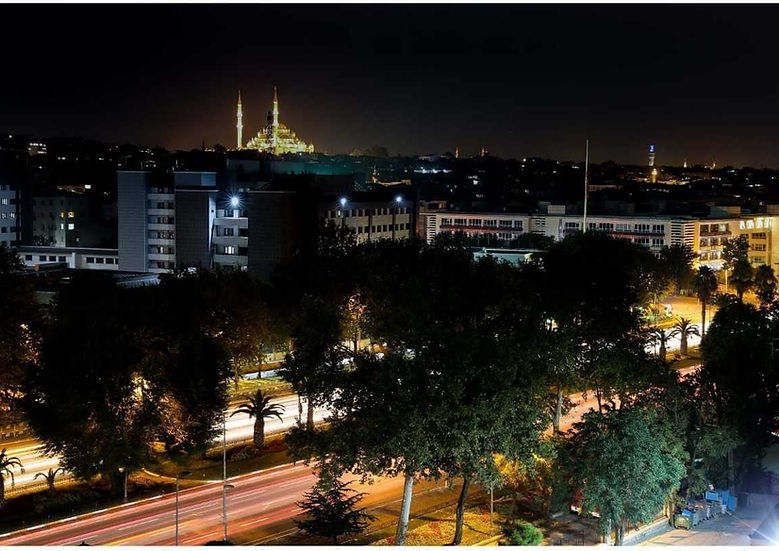bakırköy böcek ilaçlama