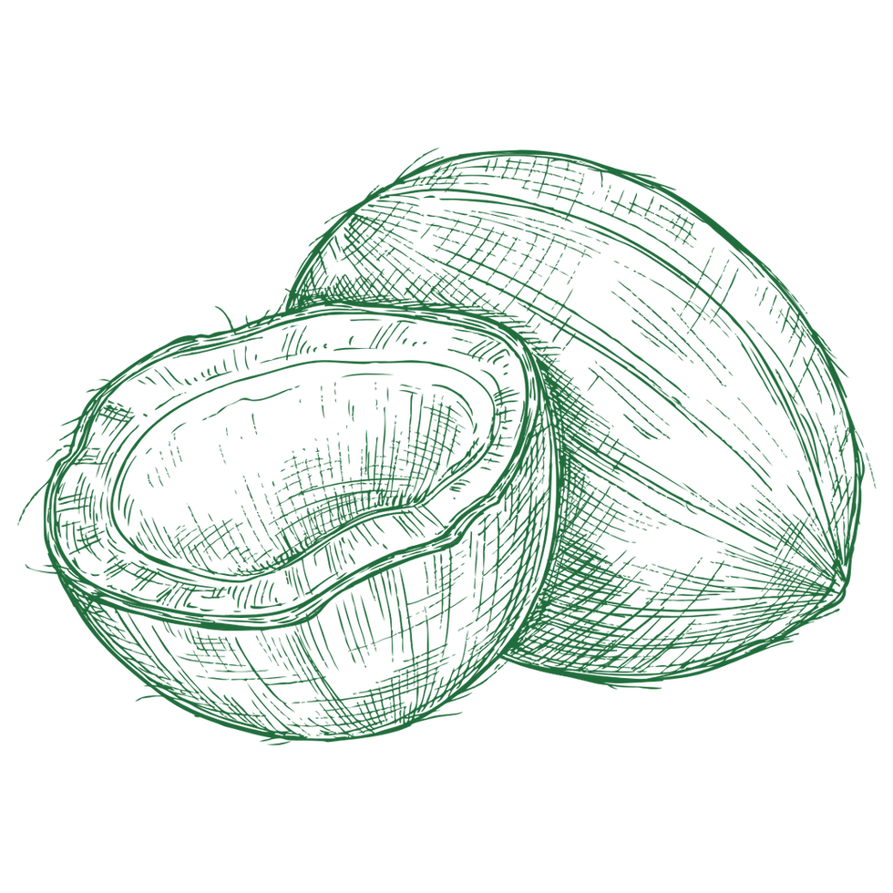 13.png