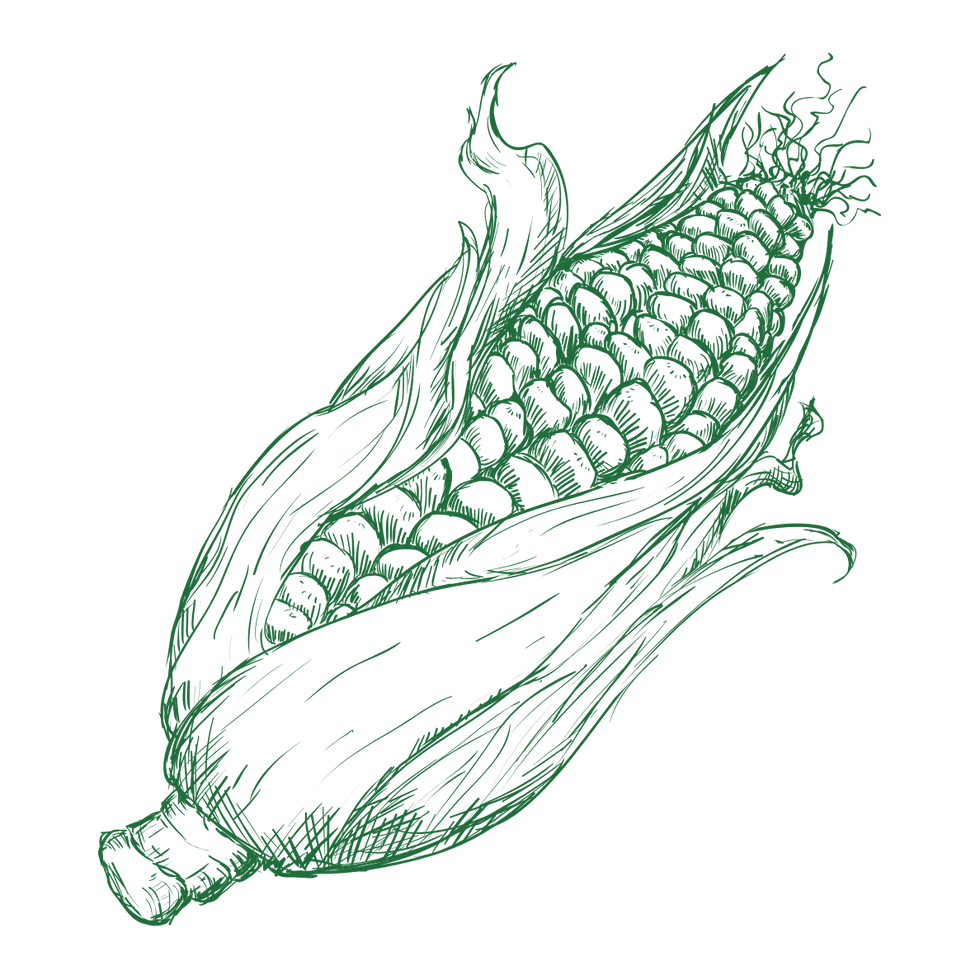 corn.png