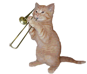 Metis Studio Upload page Cat