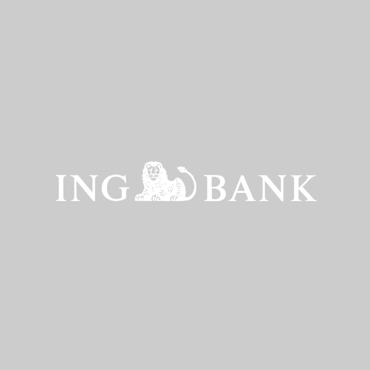 ing_3.jpg