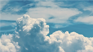 AssetFinda Cloud Hosting Ideal for Councils Big and Small