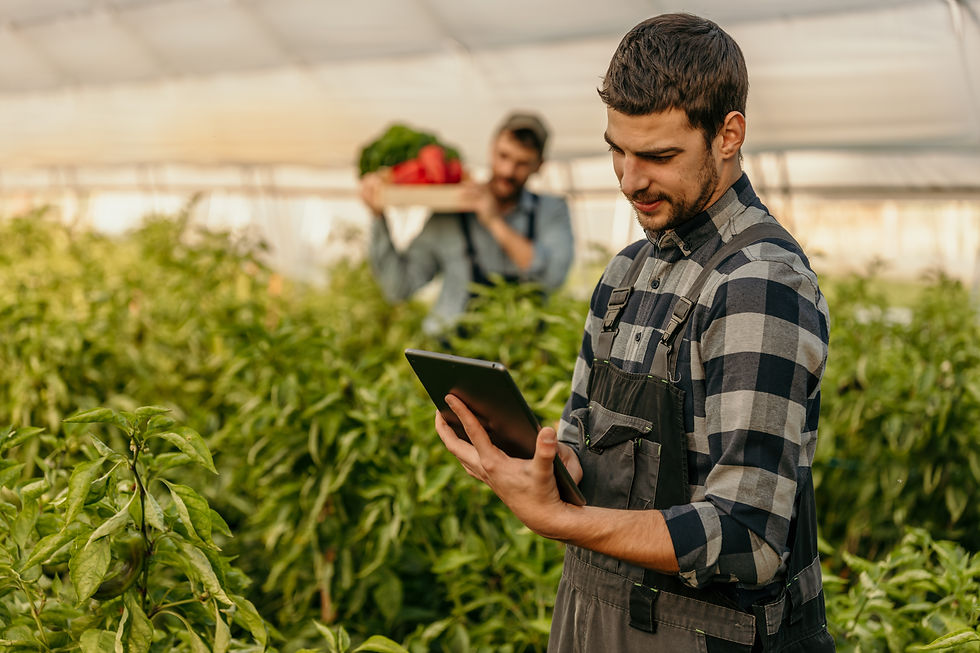 Worker in commercial greenhouse looking at tablet to represent food manufacturing software.