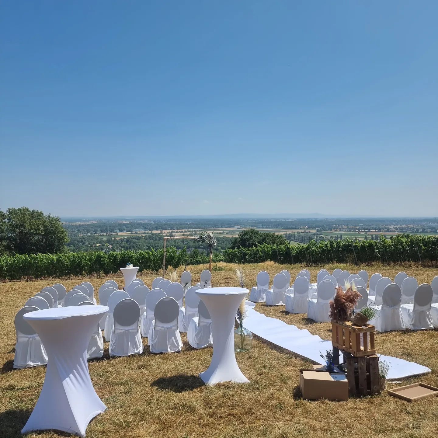 Hier durfte die Freie Rednerin Nadine aus Mainz ein Hochzeitspaar mitten in den Weinbergen begleiten