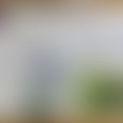 A hedgehog evening with the 2nd Long Ashton Brownies