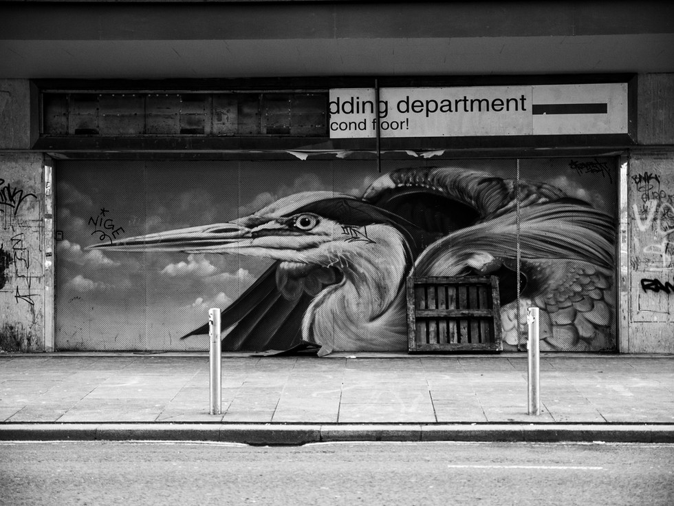 Psychogeography study of graffiti of a heron on a building on Argyle Street Glasgow by David Gulliver Photography