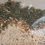 Thumbnail: Country Dill & Horseradish Dip