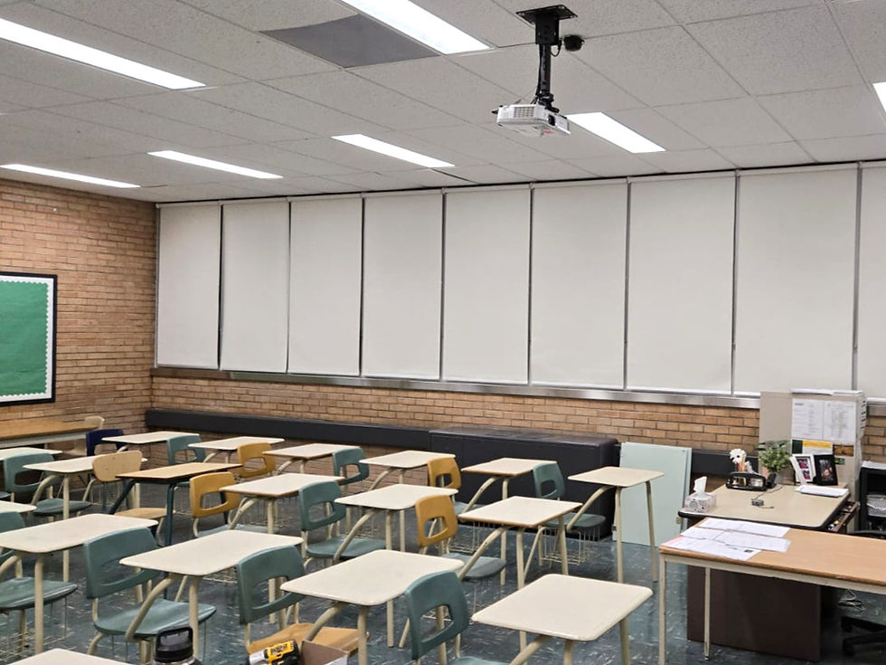 How to Choose the Right Window Treatments for Your Business