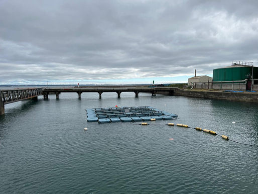 HelioRec W300A 10 kWp floating solar demonstrator in Brest Port with real-time marine monitoring dashboard showing energy generation, waves, wind, tides, platform inclination and mooring loads.