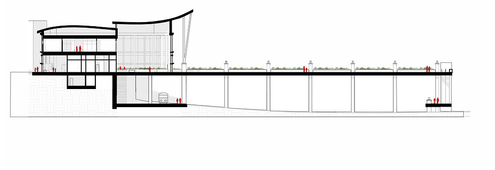 S-E Site Section.jpg