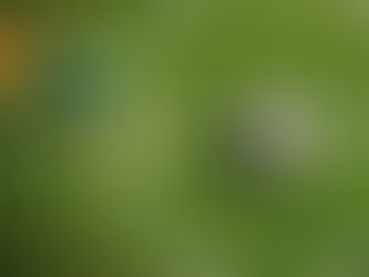 Ο Πανιώνιος συμμετέχει στο ευρωπαϊκό πρόγραμμα “Football for a Chance (F4AC)”