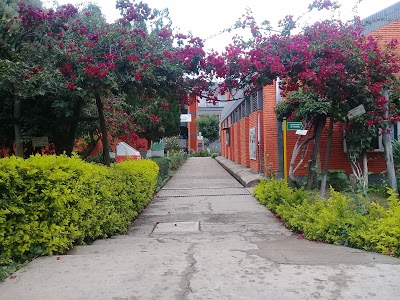 hermoso paisaje