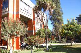 paseo con la naturaleza