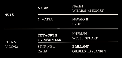 Abstammung Pedigreebaum Pony