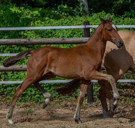 Bildschirmfoto 2025-08-23 um 22.07.36.png