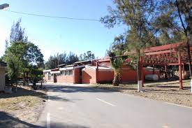 paseo de agronomía y sus detalles